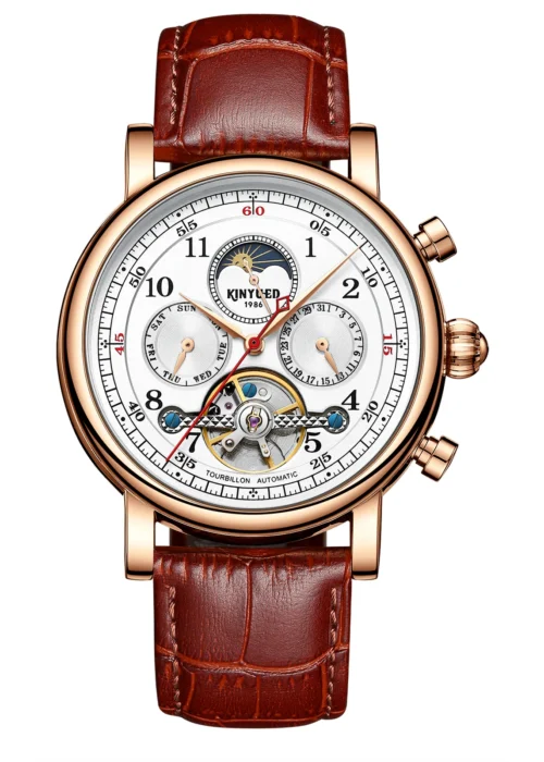 Bestn Mens Luxury Skeleton Automatic Mechanical Wrist Watches